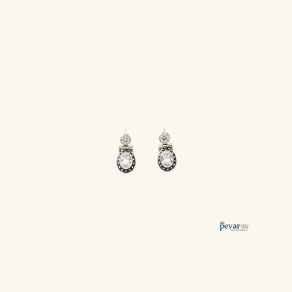 Oxidized Silver Shining Stone Hook Earrings